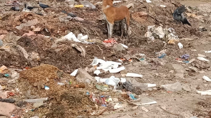 खंडवा  इमलीपुरा शक्कर तालाब स्लाटर हाउस मैं गंदगी का अंबार और सरकारी जमीन पर अवेध अतिक्रमण किया जा रहा है